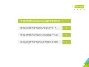 2016年第二季度中國網絡婚戀行業監測報告 婚戀信息咨詢市場分析與展望