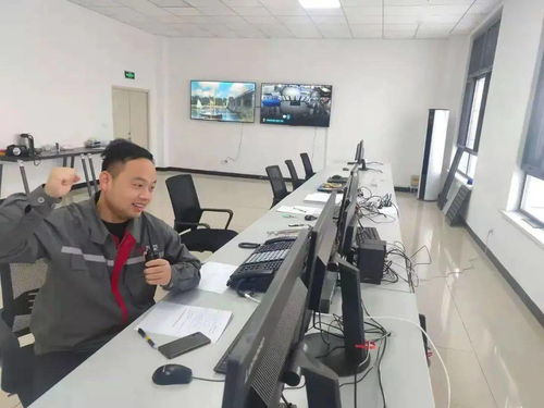 驕傲 丨中國中車首個風電場一次送電成功 技術開發及技術服務